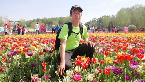 新疆五家渠青格达湖郁金香