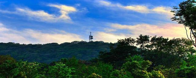 合肥大蜀山有多高这里是一座死火山如今成合肥城内最高点