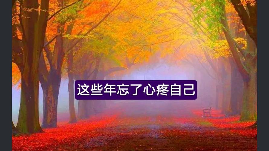 这些年忘了心疼自己