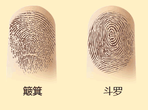 5个斗和5个簸箕的命运是什么样呢?