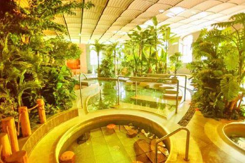 崇礼区双龙温泉攻略-双龙温泉门票价格多少钱-团购--.