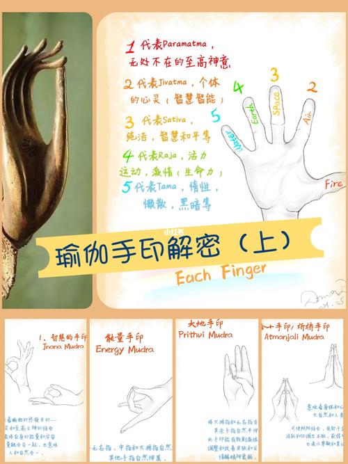 瑜伽009969♀15手印99简笔画 详细解释(上)