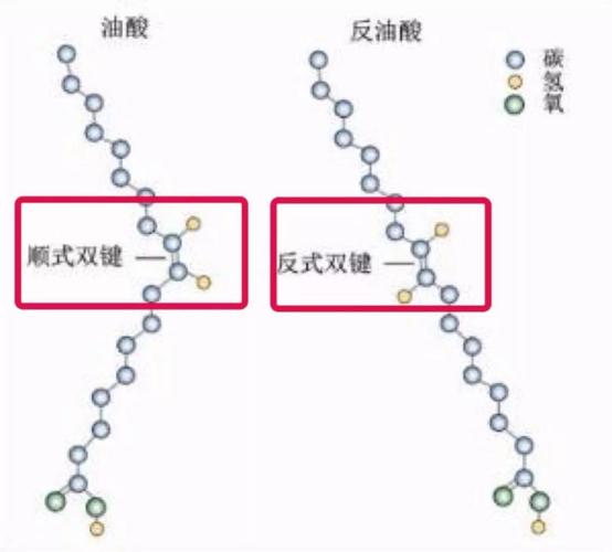 反式脂肪酸是对植物油进行氢化改性过程中产生的一种不饱和脂肪酸