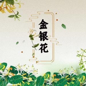 金银花