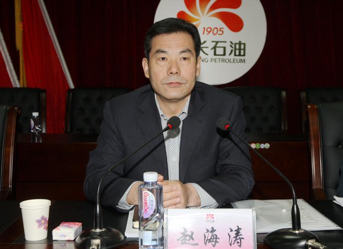 集团公司党委副书记,第二督导组组长赵海涛作重要讲话