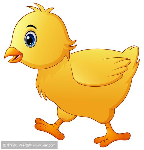 小鸡卡通图片大全可爱_萌萌的小鸡卡通图片大全