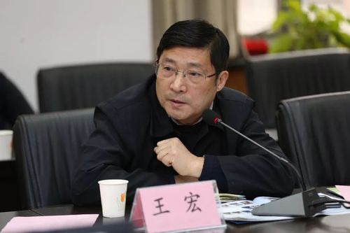 清华大学王宏教授
