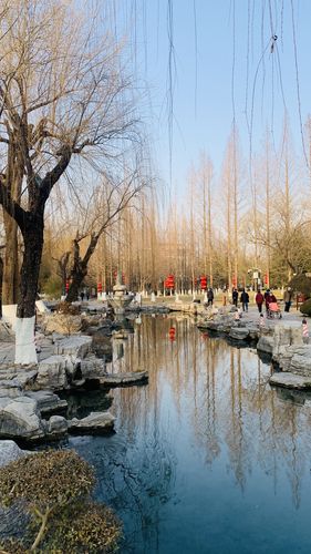 2021年2月2日-寒冬腊月-泉城济南风景优美的五龙潭公园(编辑摄影王