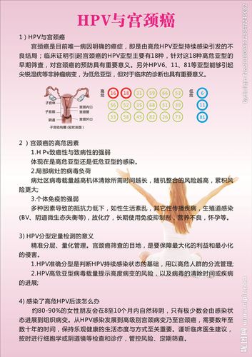 hpv与宫颈癌设计图__海报设计_广告设计_设计图库_昵.