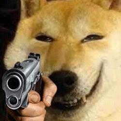 表情包 | 神烦柴犬拿枪表情包