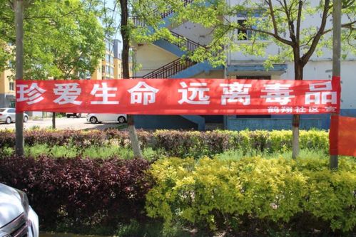 曙光街道鹤翔社区开展罂粟种植排查铲除工作