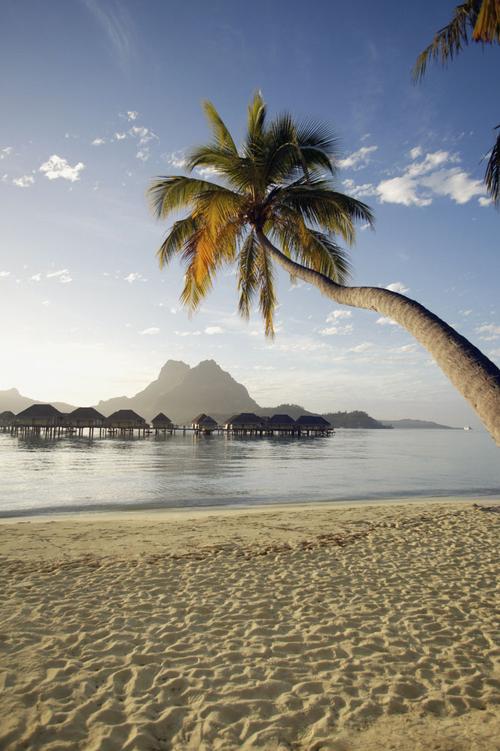 淘图网 图片素材 自然景观 海洋海边 > 图片信息