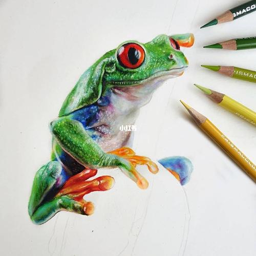 彩铅花朵上的青蛙90_彩铅_文化_绘画