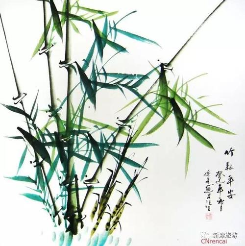 斑竹林,品竹之文化,享清凉盛景