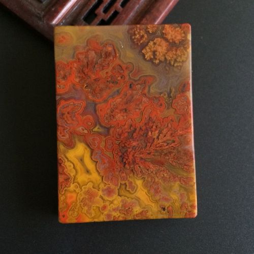 宣化精品战国红天然活草花方牌(一对)