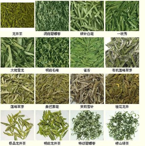 教你认识,泡,喝各种名茶