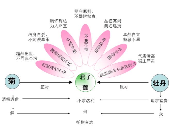 爱莲说板书设计ppt