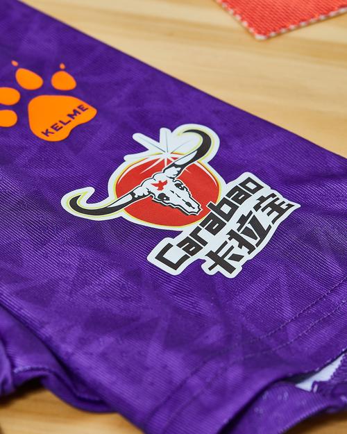 黑龙江冰城 2021 赛季主客场球衣