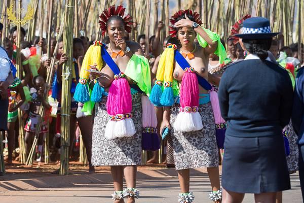 [转载]美丽处女齐出动,斯威士兰王国的选妃芦苇节(图)