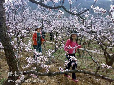 北京 延庆 新庄堡村 新庄堡村的地图  景点名称:新庄堡村 所属地区