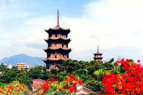泉州东西塔,是镇国塔,仁寿塔的合称,是中国现存最高的一对石塔.