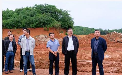 人大常委会主任闵秀明(右二)一行现场察看罗江镇空心房整治效果