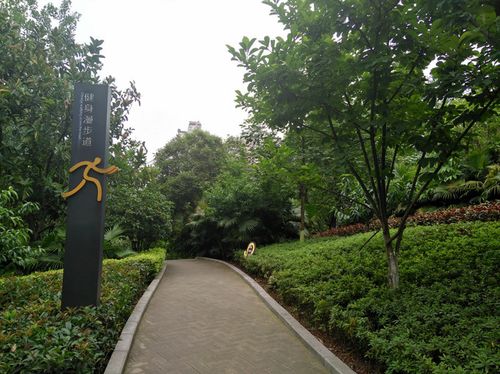 我的闲散时光(石子山体育公园.磁器口),重庆自助游攻略 - 马蜂窝