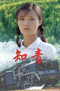 知青第25集 - 电视剧 - 高清完整版在线观看 - 西瓜