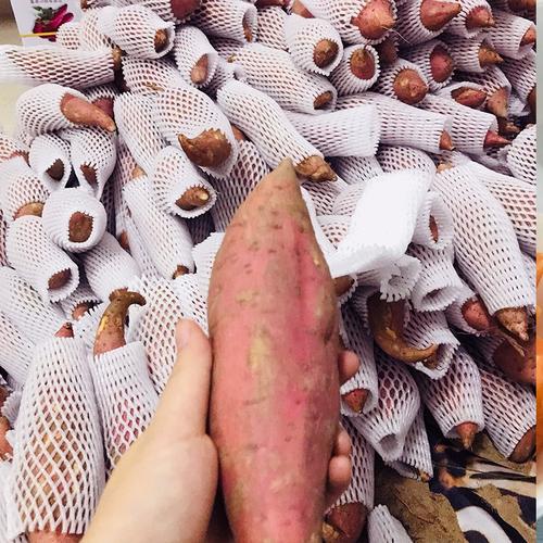 南国农食福建六鳌沙地红蜜薯正宗西瓜红红薯糖心密薯新鲜农家