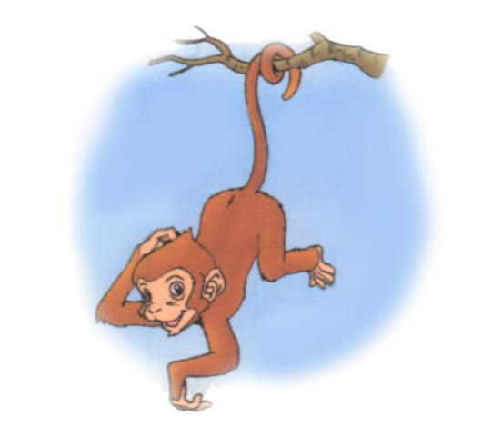 《比尾巴》课文插图1