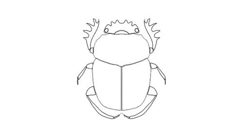 粪金龟简笔画的画法