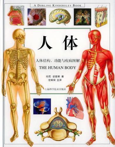 [上新包邮]  人体:人体结构功能与疾病图解