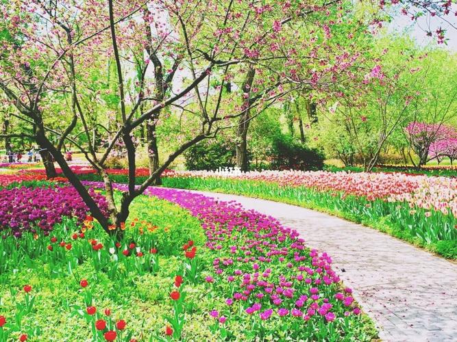 春天赏花好去处—北京植物园