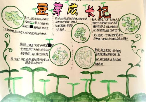 成长记 写美篇   同学们通过每天认真地观察豆芽的生长过程,观察日记