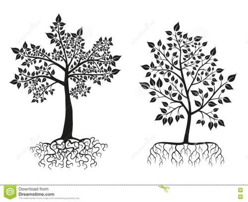 有土的带树根的树的简笔画