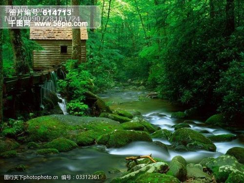 树植物水风景山图片-图行天下图库