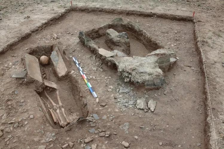 国家文物局通报4项西藏考古成果