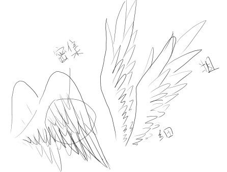 只是翅膀线稿不上色的话,说个简单的办法,你想成是个大扇子就好,其中