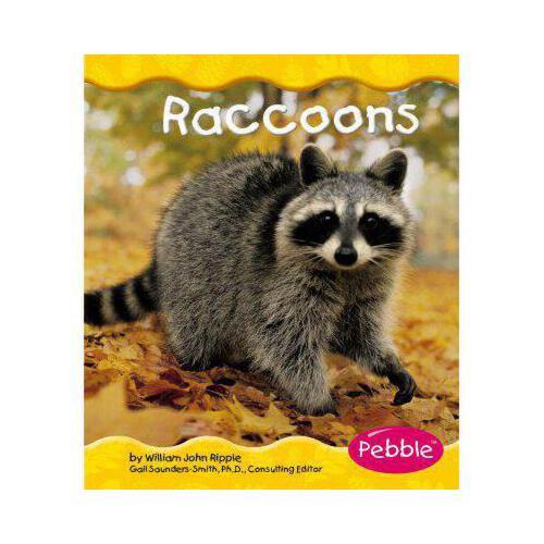 【预订】raccoons 进口原版