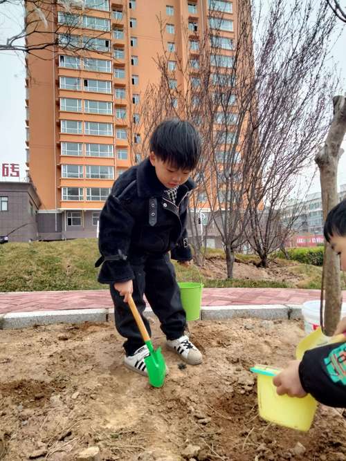 【植树节】绿化环境动起来——小牛津幼儿园开展植树节主题活动
