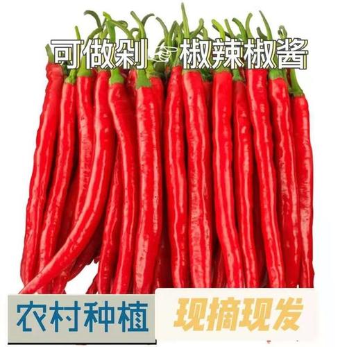 购客安徽农家自种新鲜二荆条红线椒杭椒剁椒长辣椒中辣小尖椒现摘现发