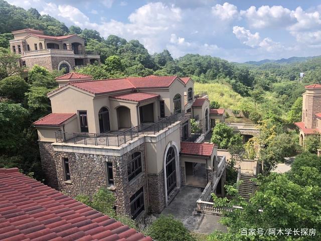 南宁最高端的纯独栋别墅庄园 背靠青山 面朝邕江 半山