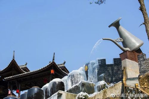 这个浦江 "网红"村的最美风景要来了 赶紧预约