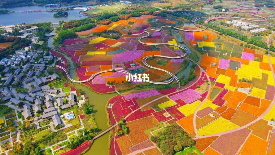航拍镜头下的宿迁三台山衲田花海_景点_航拍_旅行_江苏三台山国家森林