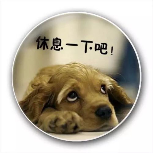 看累了吧,休息一下