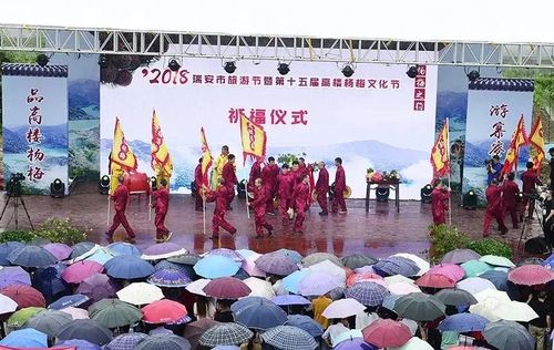 品高楼杨梅,走红色之旅|"2019瑞安市文化旅游体育节暨第16届高楼杨梅