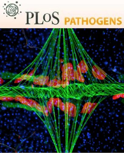 plos pathogens