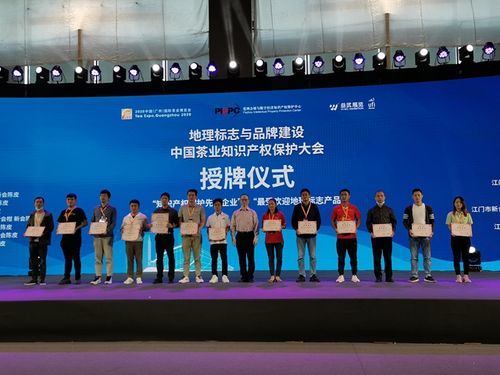 信息时报记者 徐毅儿 摄
