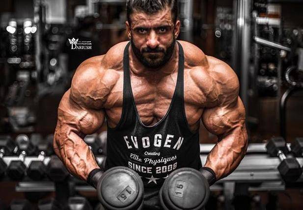 又是一头健美巨兽,自称是波斯狼,大腿肌肉如大象腿