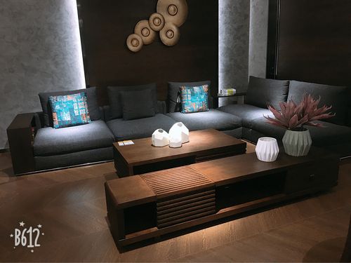 左岸风情—杨丽伟